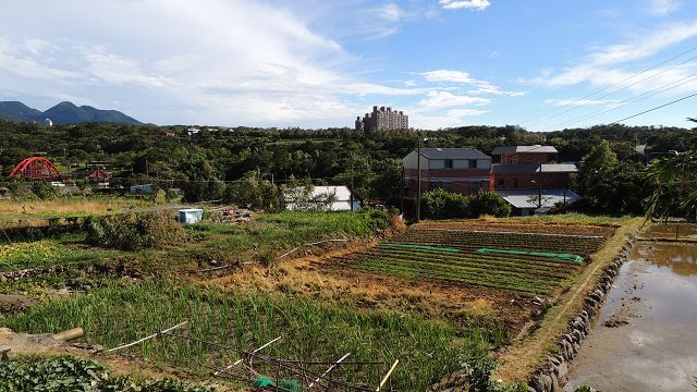 八連溪沿岸田野景觀豐富,視野與心都同時打開了