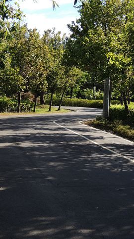 貼心規劃的自行車道,略微上坡的路段伴隨青翠綠意
