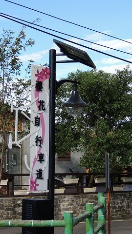 櫻花自行車道