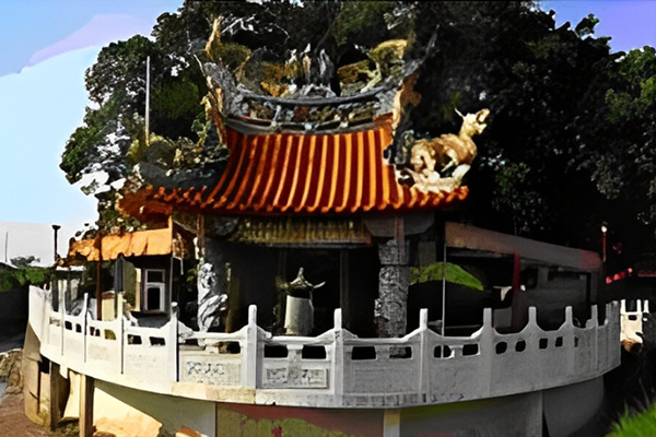 遷移與發展概述形象圖